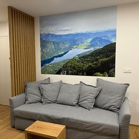 Apartma Tisa Bohinj-No Ouside Windows エクステリア 写真