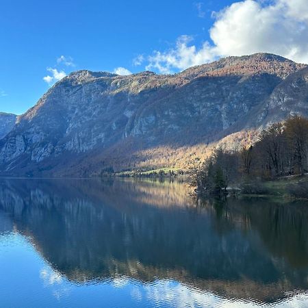 Apartma Tisa Bohinj-No Ouside Windows エクステリア 写真