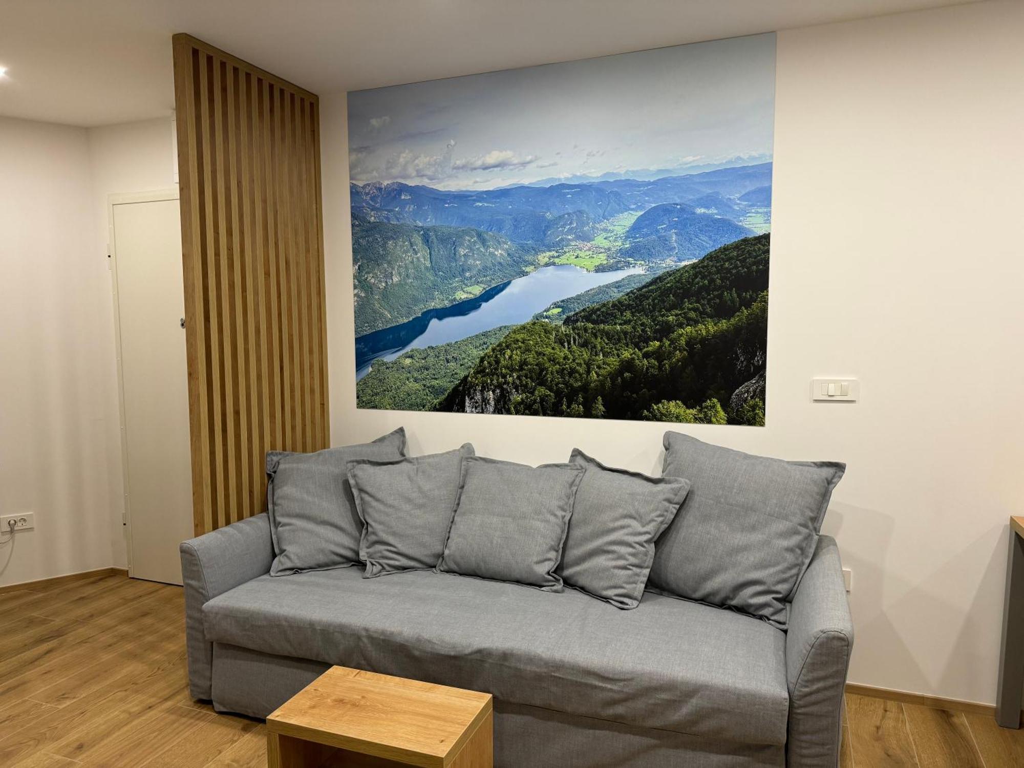 Apartma Tisa Bohinj-No Ouside Windows エクステリア 写真