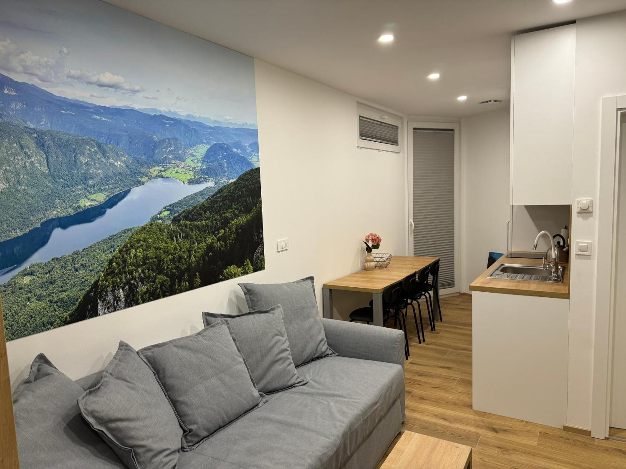 Apartma Tisa Bohinj-No Ouside Windows エクステリア 写真