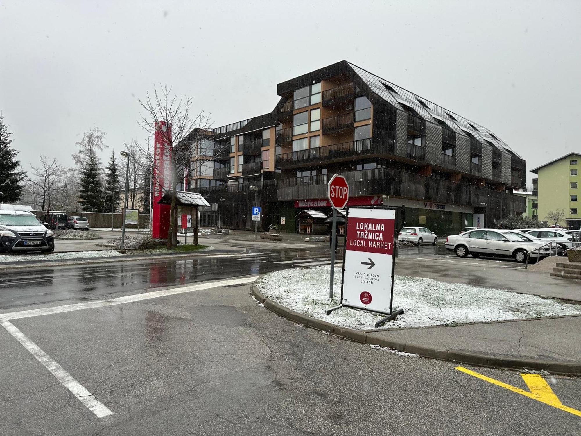 Apartma Tisa Bohinj-No Ouside Windows エクステリア 写真