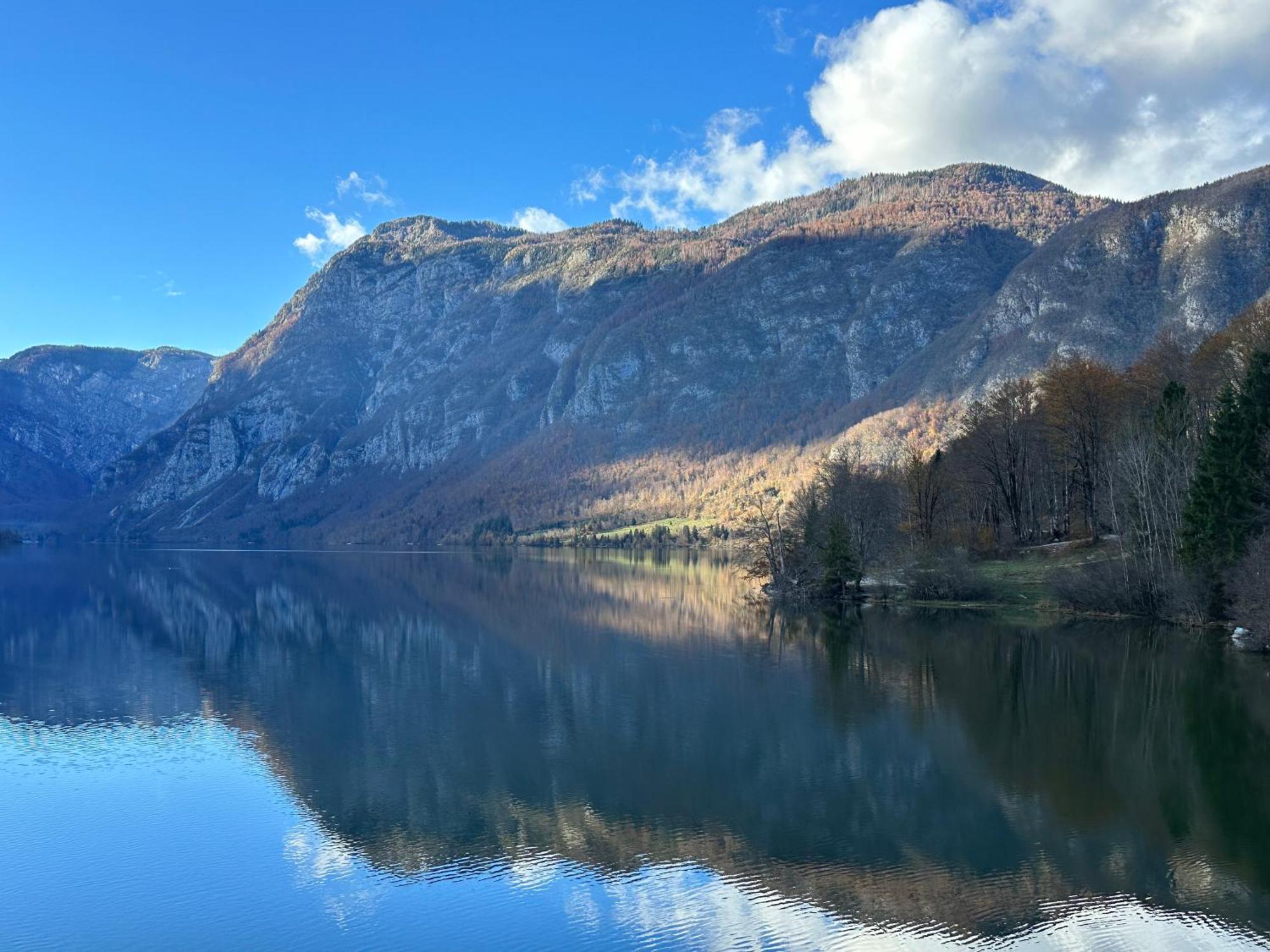 Apartma Tisa Bohinj-No Ouside Windows エクステリア 写真